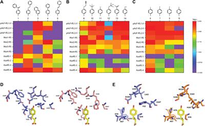 Tuning the Properties of Protein-Based Polymers Using High-Performance Orthogonal Translation Systems for the Incorporation of Aromatic Non-Canonical Amino Acids